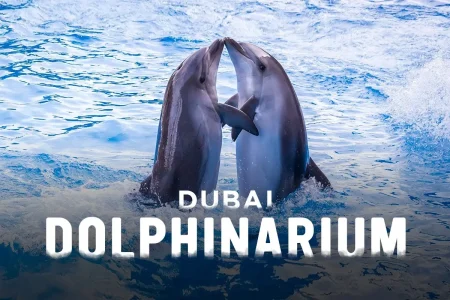 Dubai Dolphinarium – Dolphin & Seal Show Regular Tickets